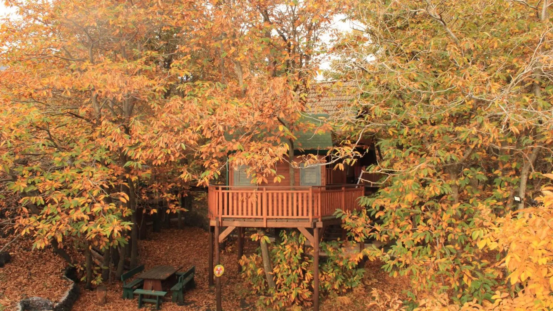 Matilde's Chalet Etna Nature House Nicolosi Italie