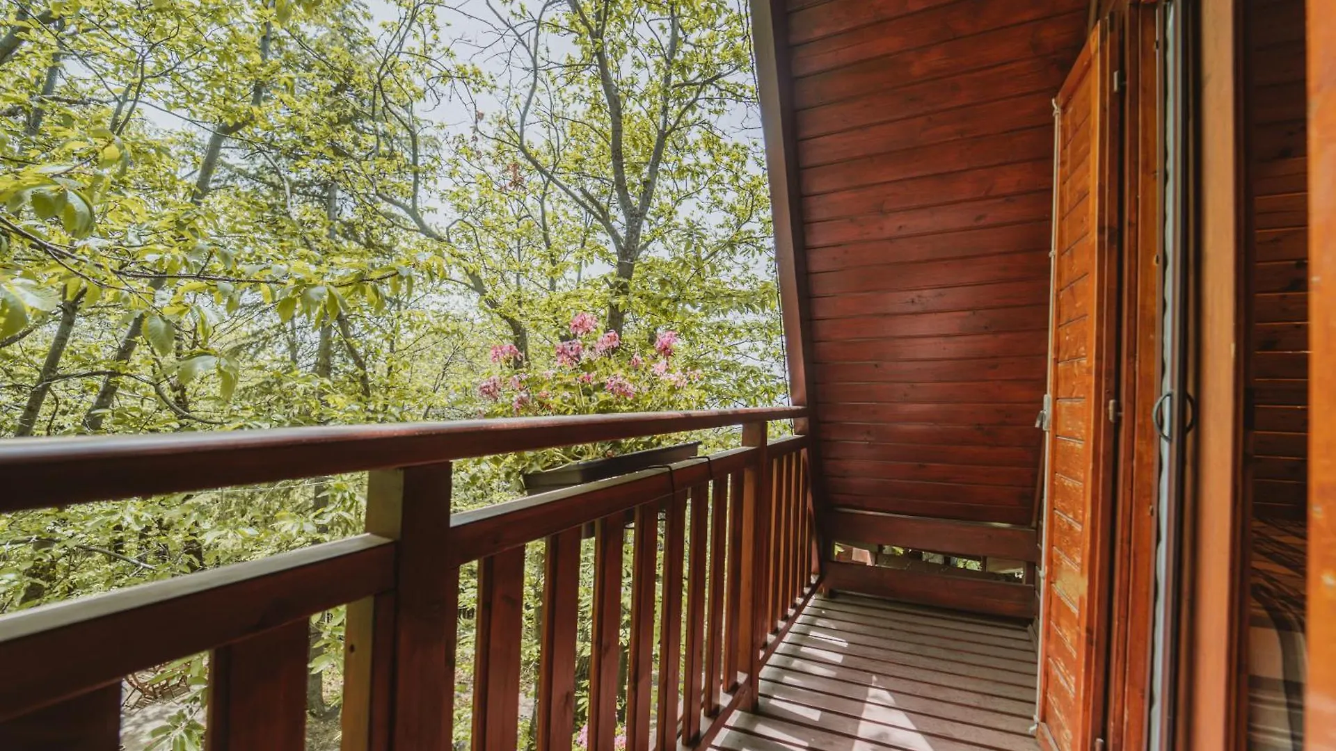 Matilde's Chalet Etna Nature House Nicolosi